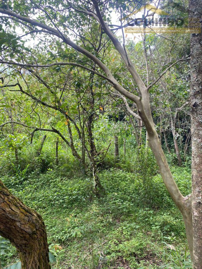 WhatsApp Image 2026-01-29 at 20.11.54 (2).jpeg